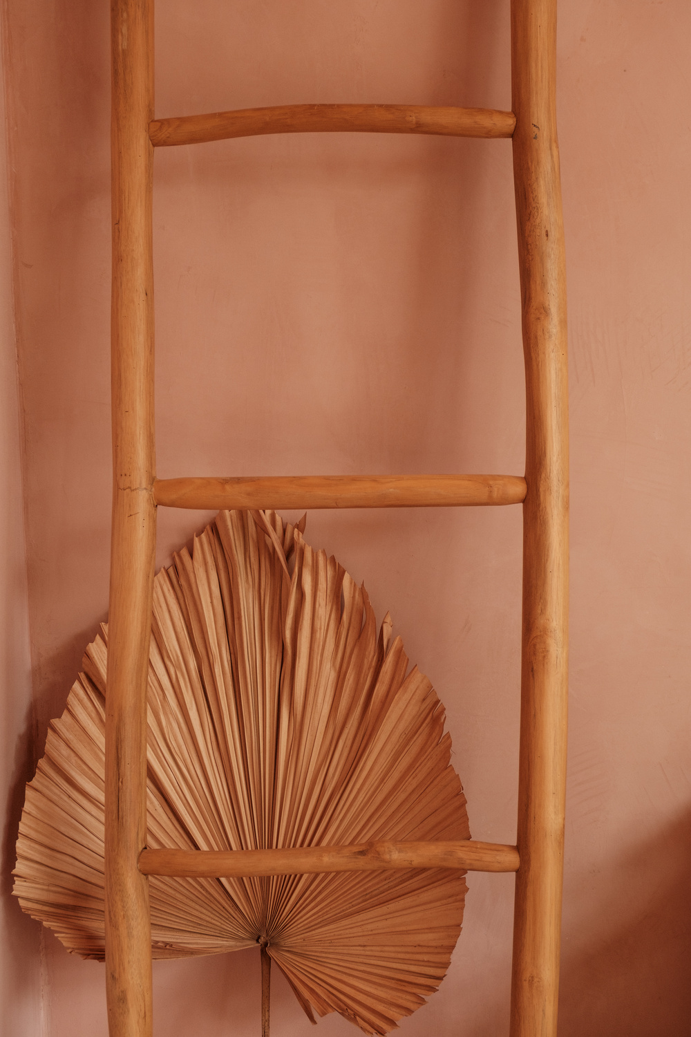 Tropical Home Bamboo Ladder Decor